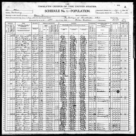 Historical census record document