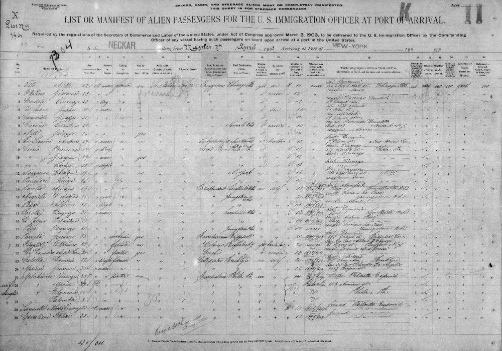 Historical passenger list for immigrant arrivals